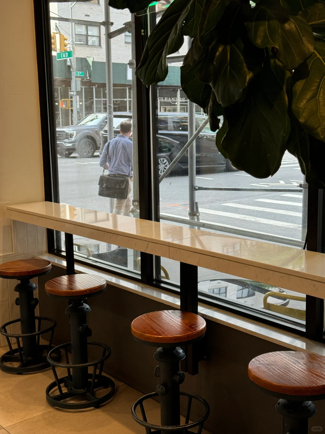 New York ☕️ Cafe Exploration | The Perfect Coffee Shop for Introverts to Study and Work 📚