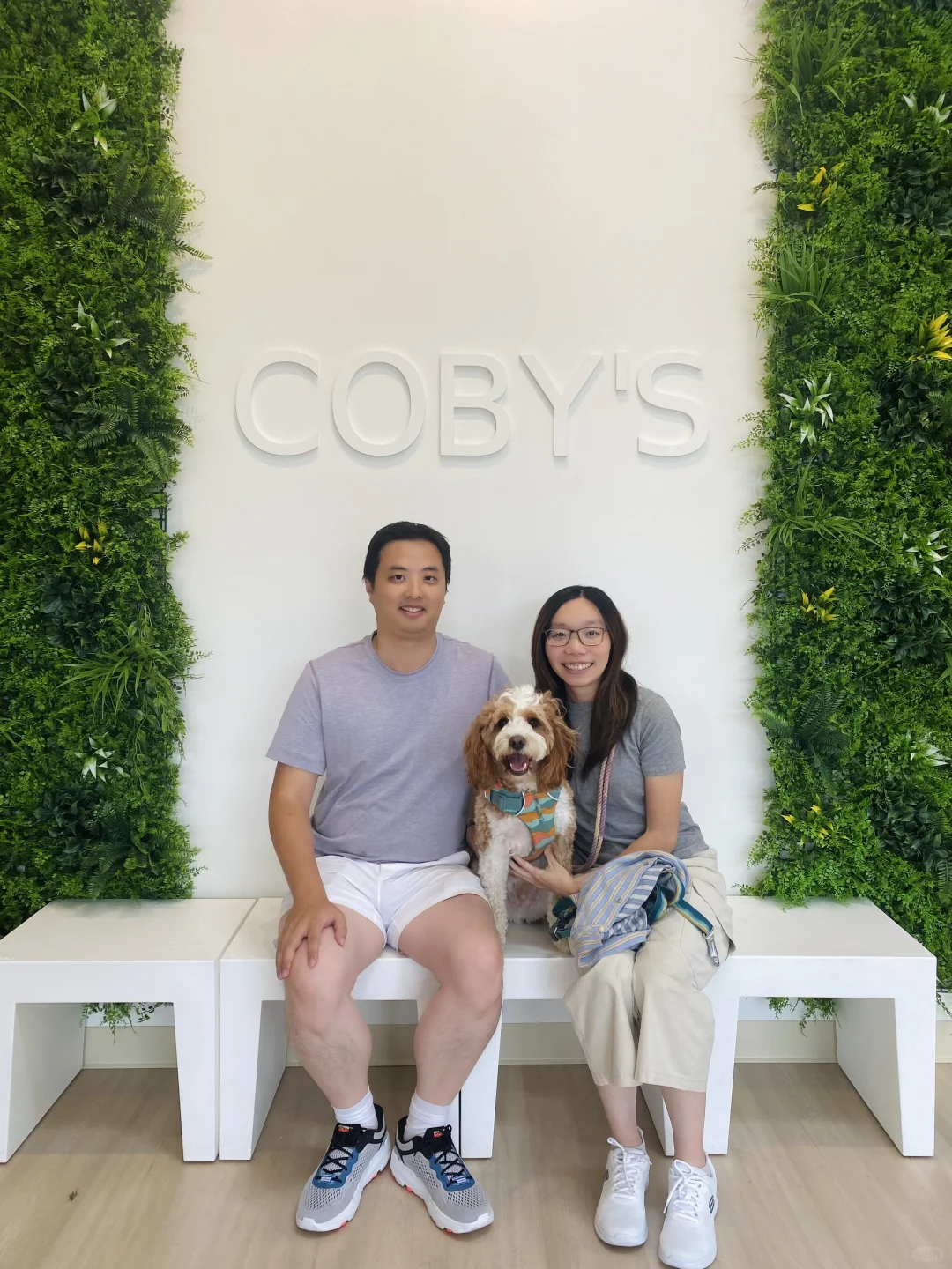 Seattle's First Dog Cafe