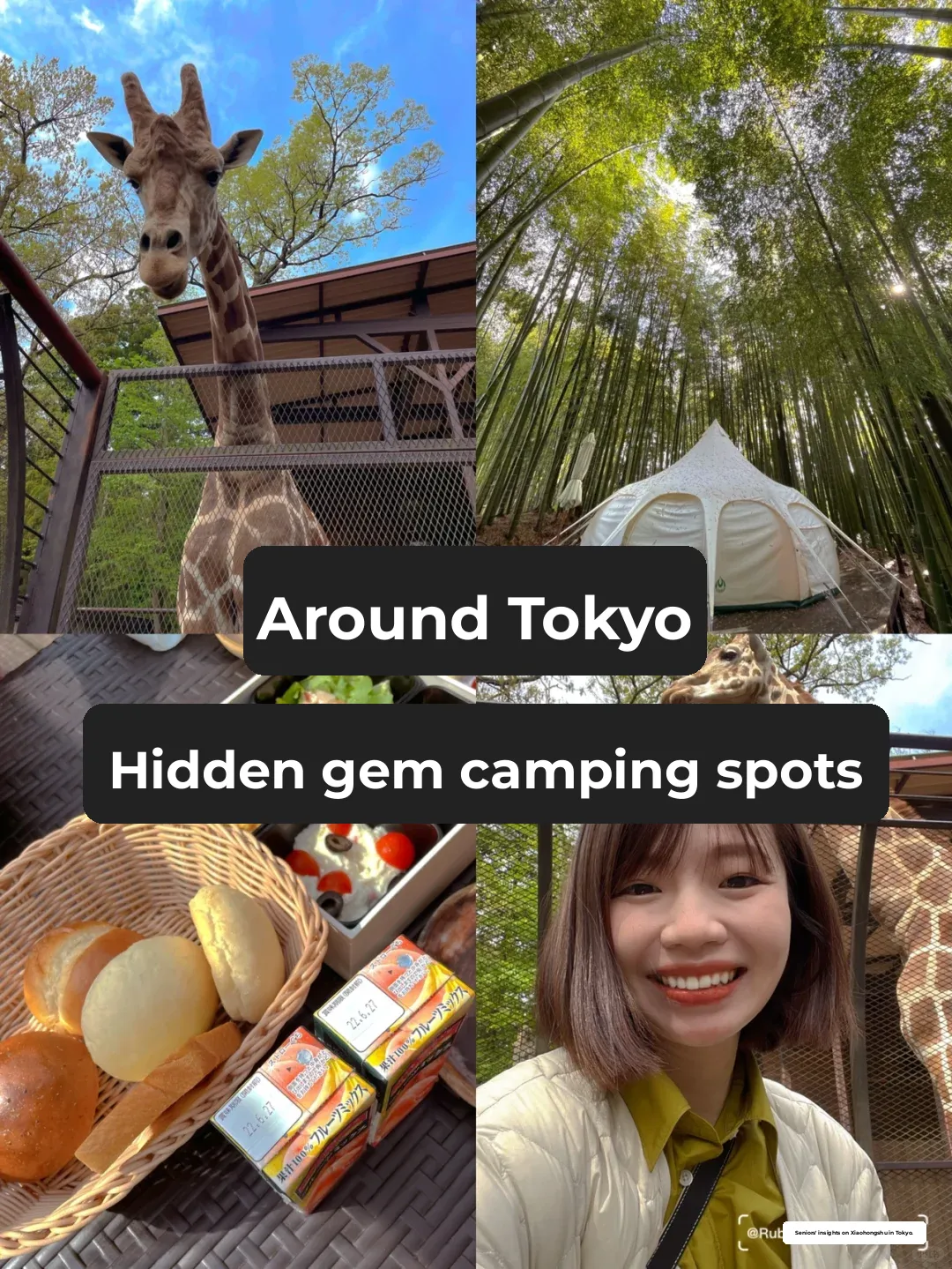 Trendy Camping Spot Near Tokyo: Breakfast with Giraffes