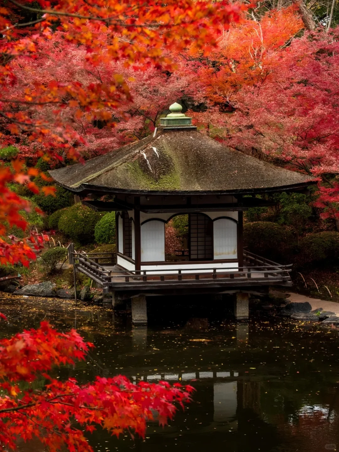 Thought Osaka was a blast, but then I hit Wakayama