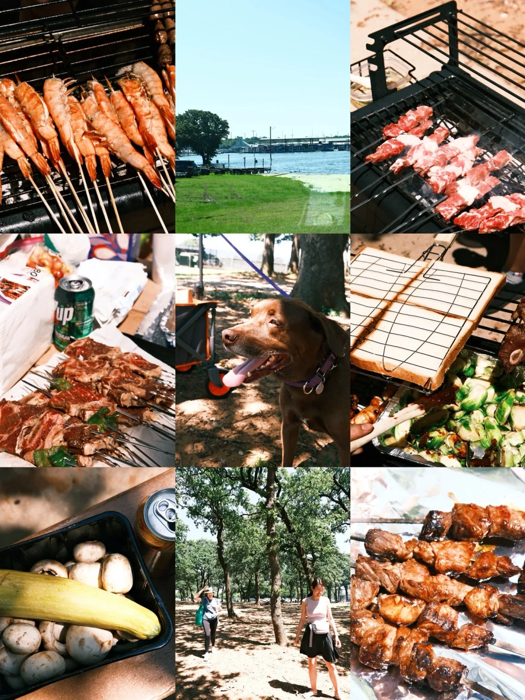 Weekend Dallas BBQ Camping ⛺️ Camping While Watching Baseball