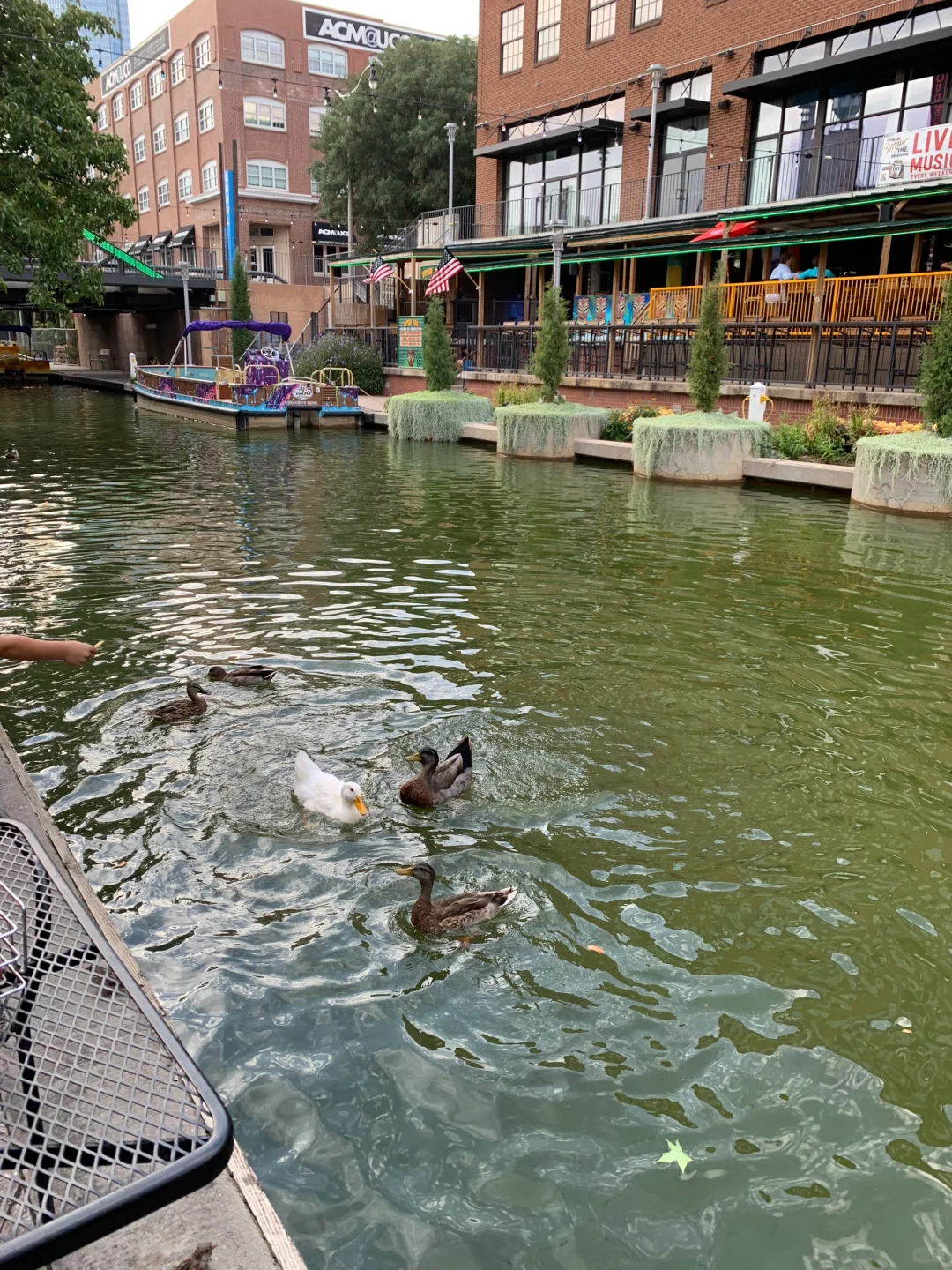 OKC | Autumn City Walk Map