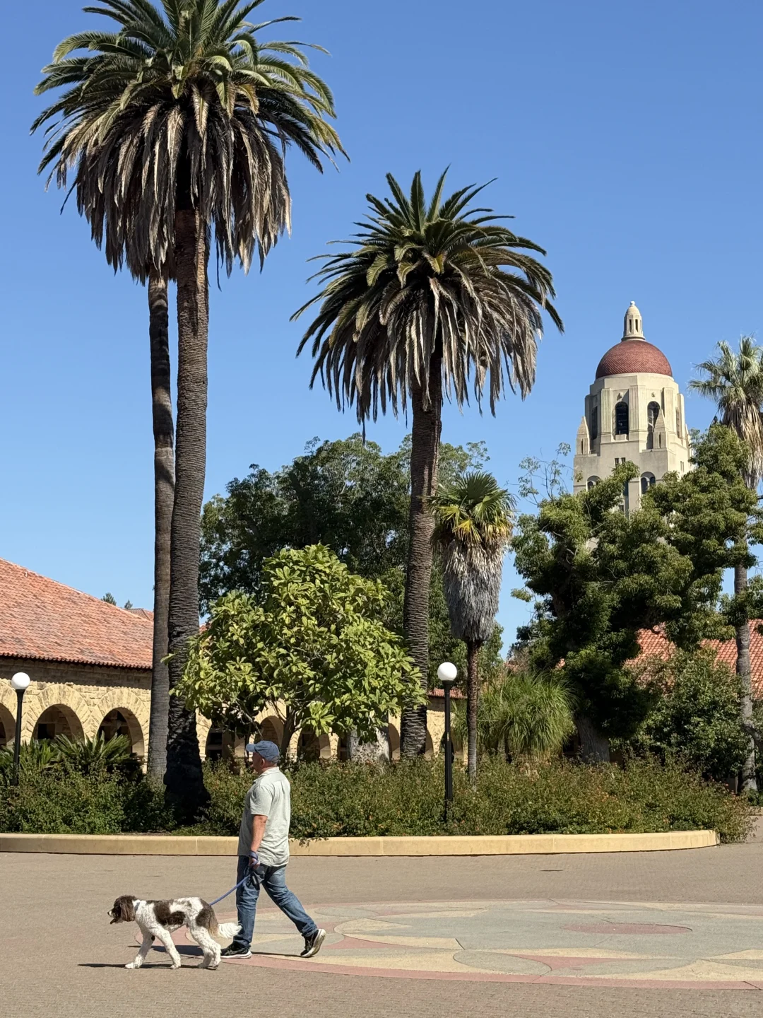 🇺🇸 These Spots in the US Have Great Energy – Worth Checking Out!