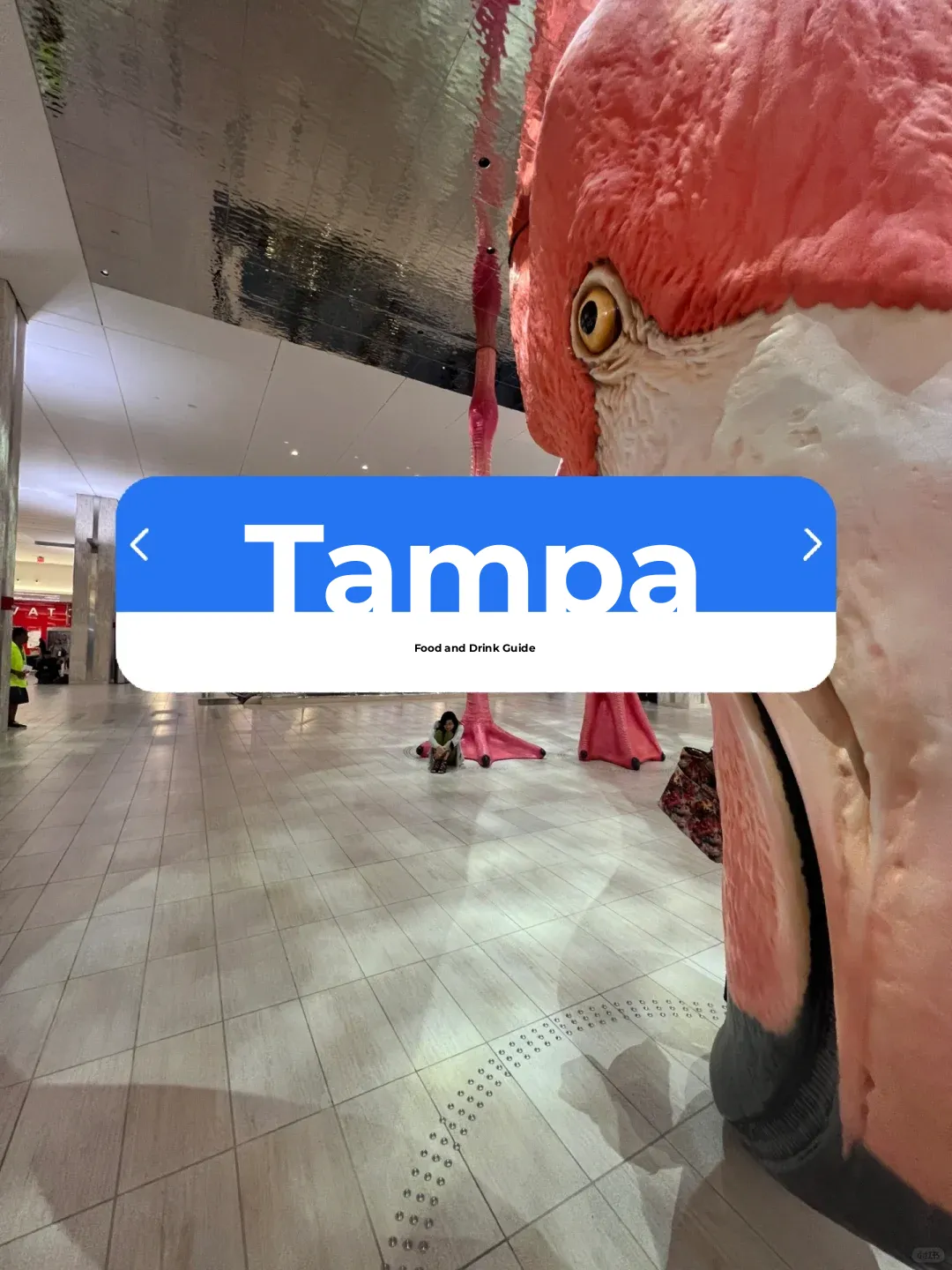 Tampa - A Foodie's Guide to Eating and Drinking