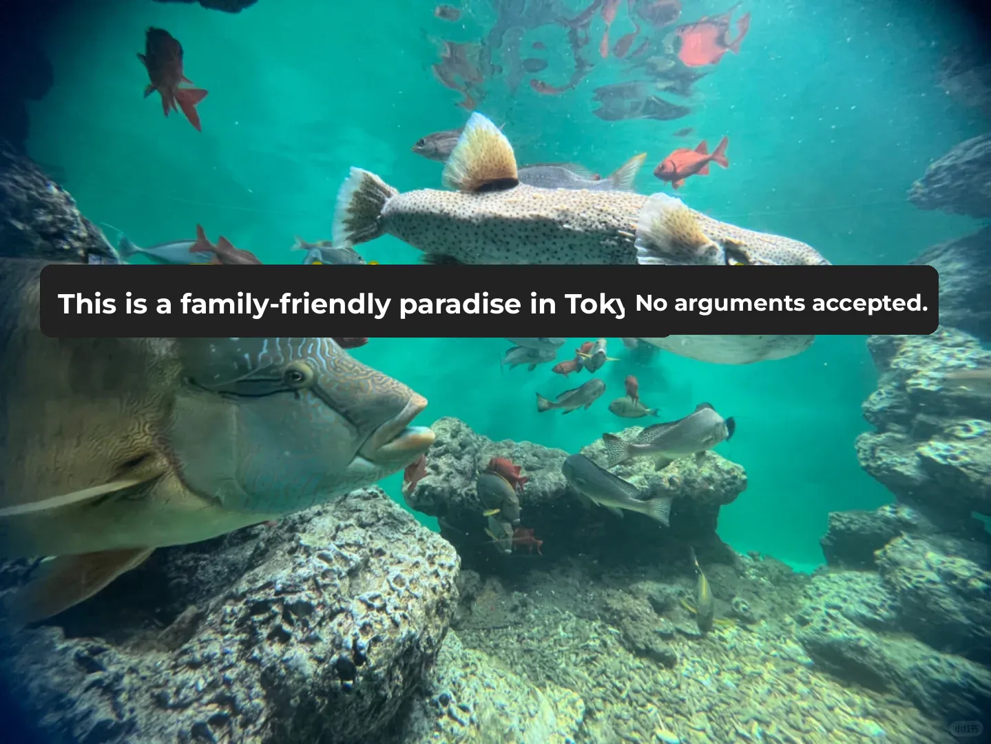 This is Tokyo's Ultimate Family Spot, No Arguments Allowed