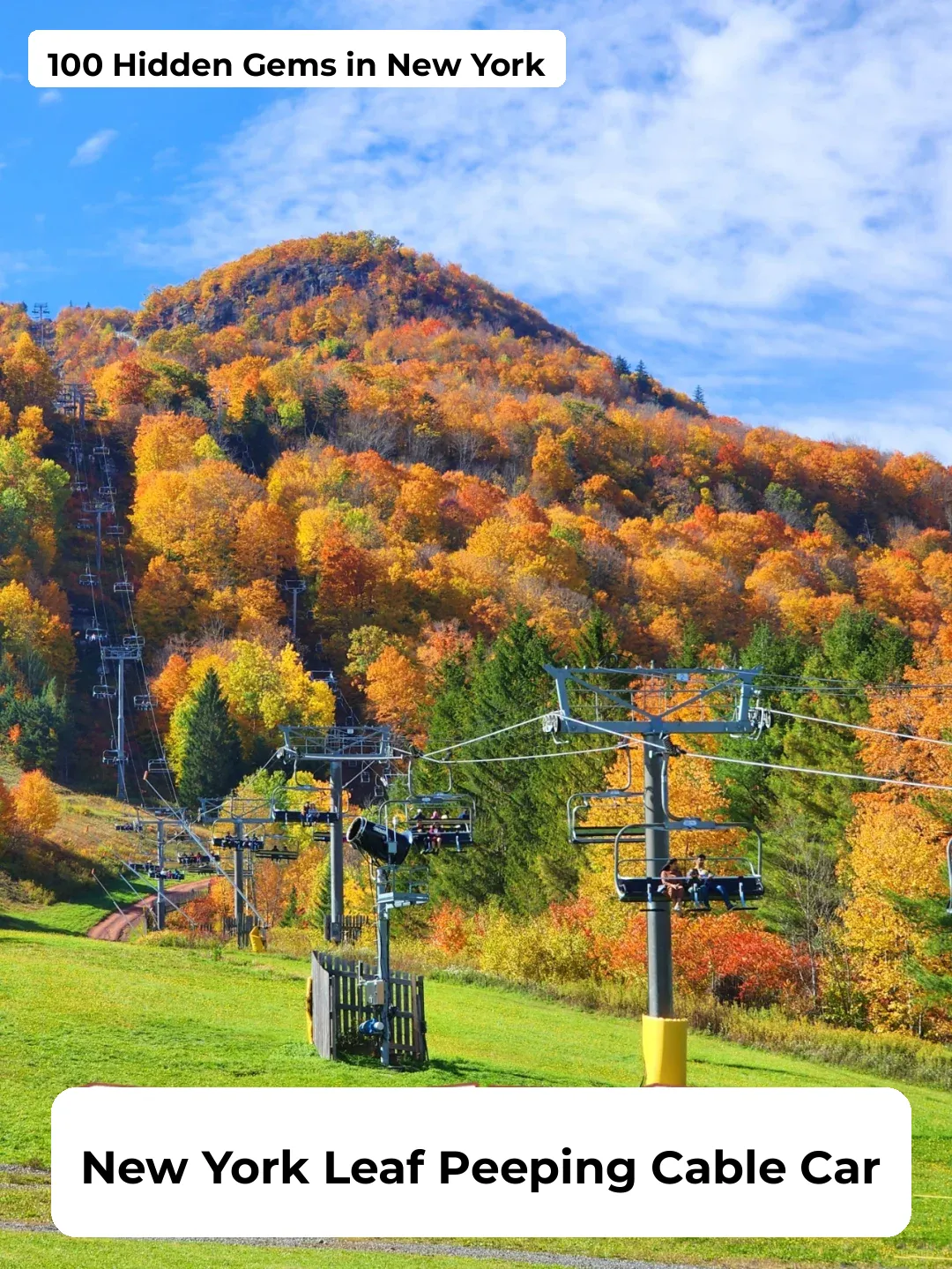 The Most Stunning NYC Fall Foliage Cable Car, Open Only for Two Weeks a Year! ⏰ Grab Your Tickets Now!