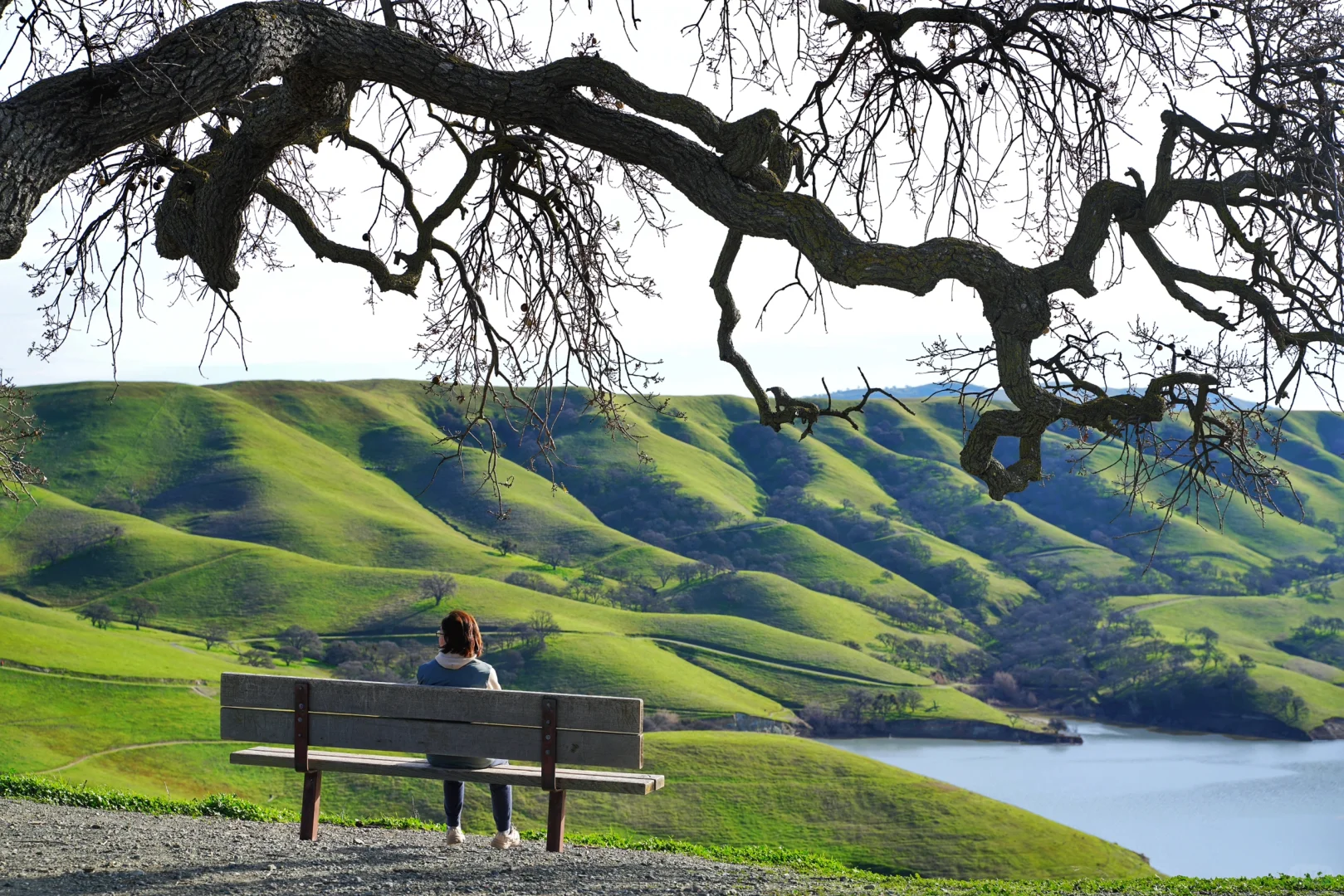 Bay Area's Little Switzerland: Top Hiking Spots
