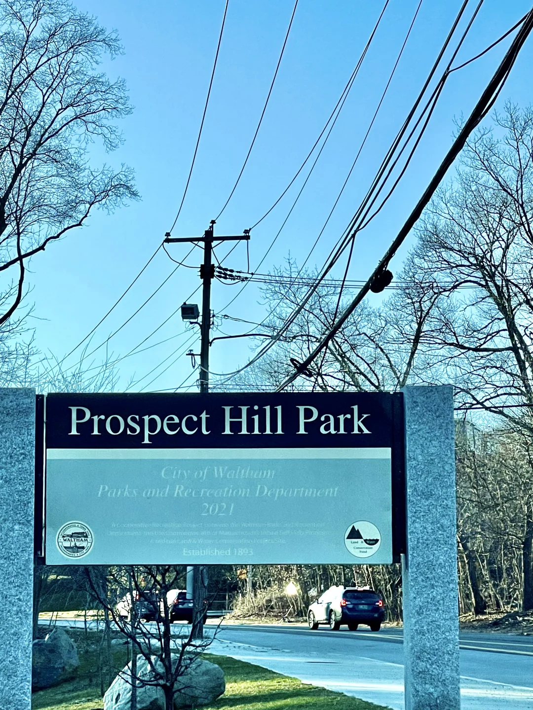 A Journey Back to Nature in Boston 🍃