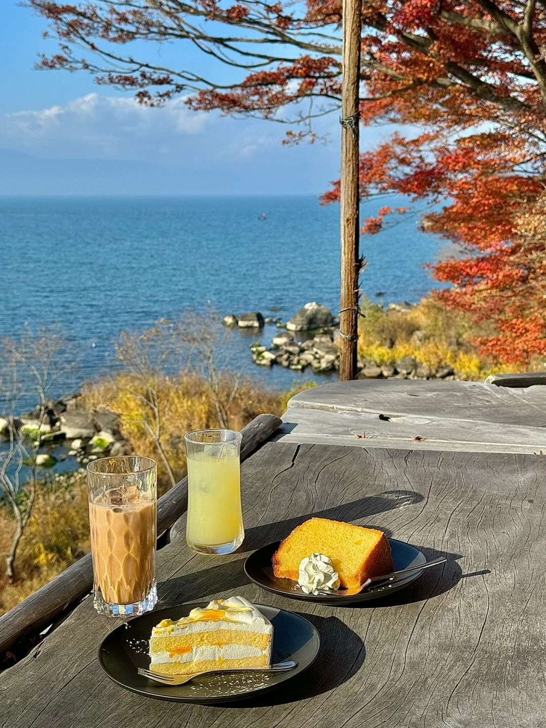 🇯🇵 The Cafe by Lake Biwa Exudes a Sense of Tranquil Beauty 🌊