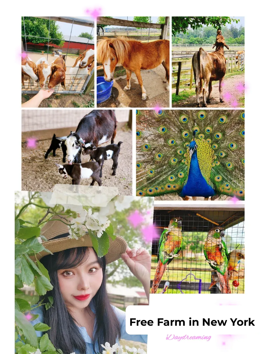 Free Farm + Butterfly Garden + Kids' Playground✔ New York's Oldest Farm