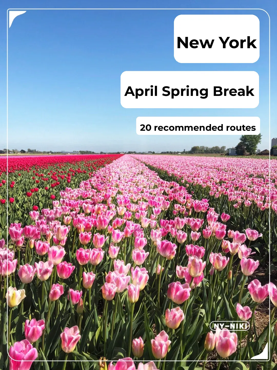 🍃NYC Area | April Spring Break Travel Guide: 20 Must-Try Itineraries