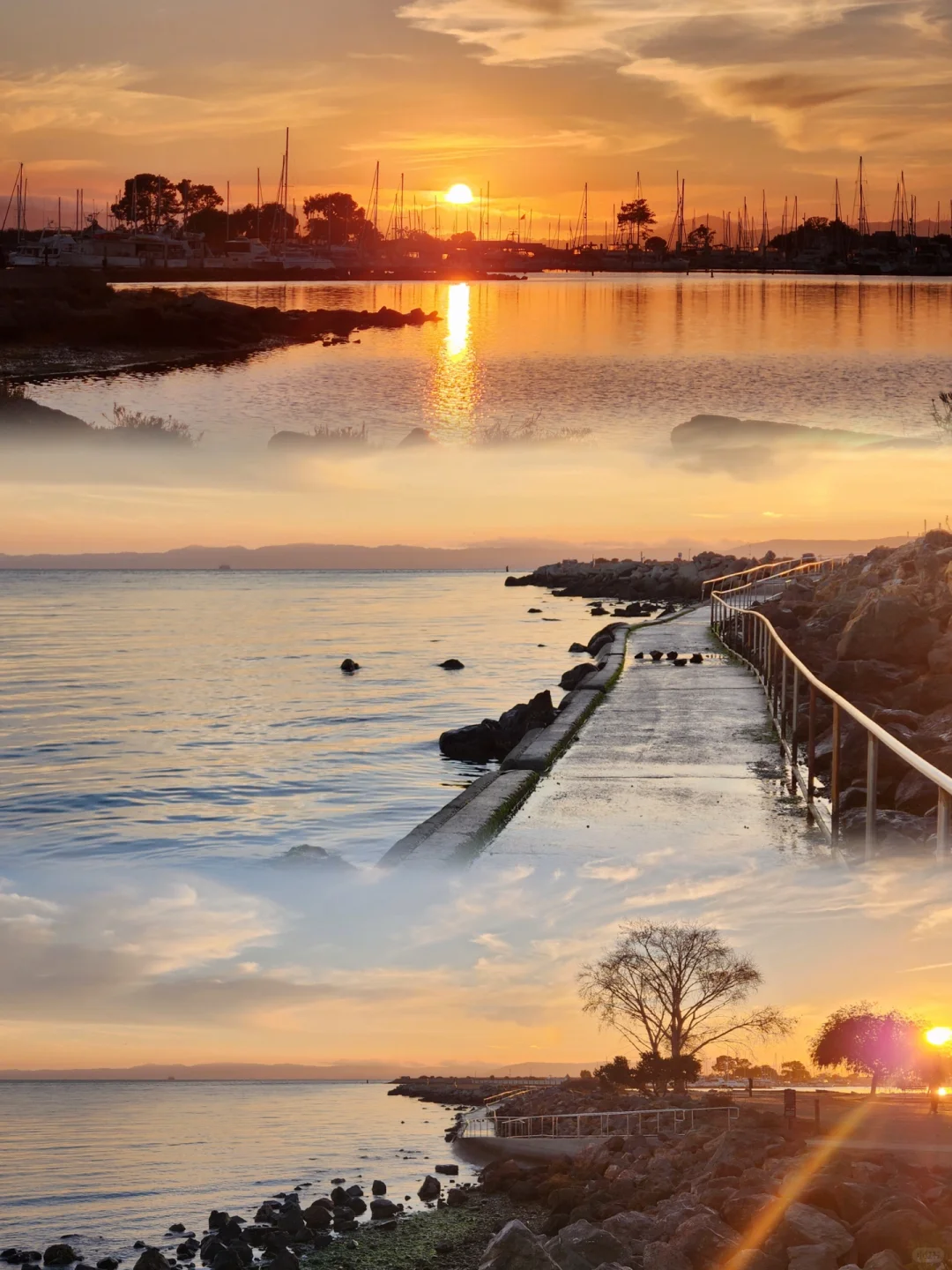 Bay Area Weekend | Stunning Seaside Crab Cove in East Bay's Alameda