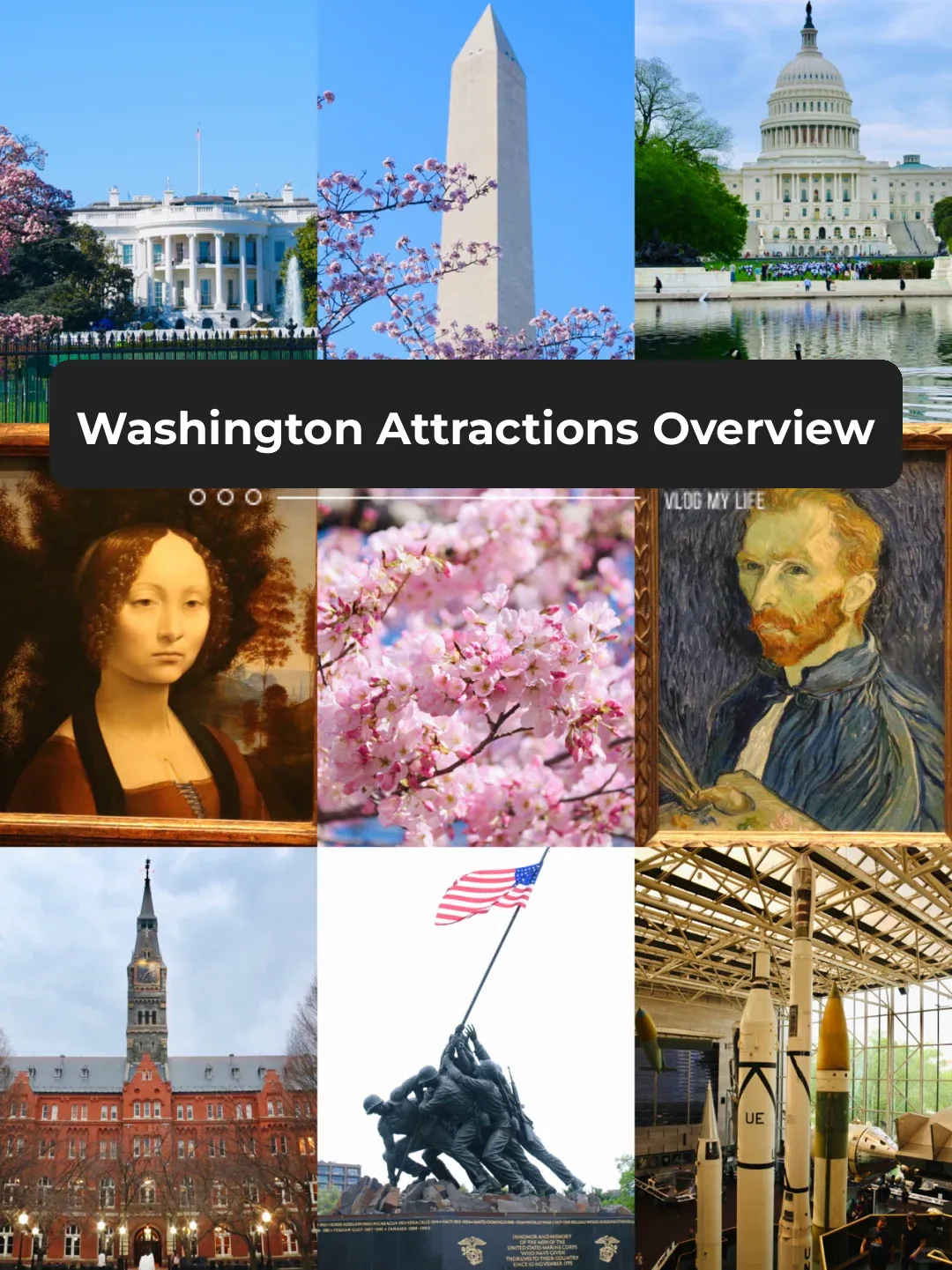 How to Spend Two Days Cherry Blossom Viewing in Washington? Complete Guide to All the Must-See Spots