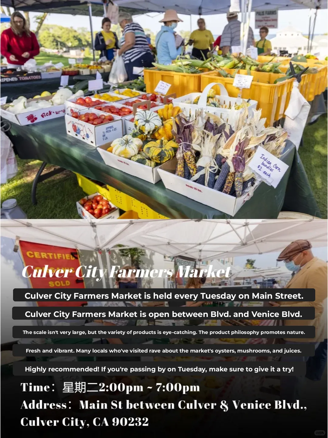 LA's Must-Visit Farmer's Markets Roundup! Super Fun!