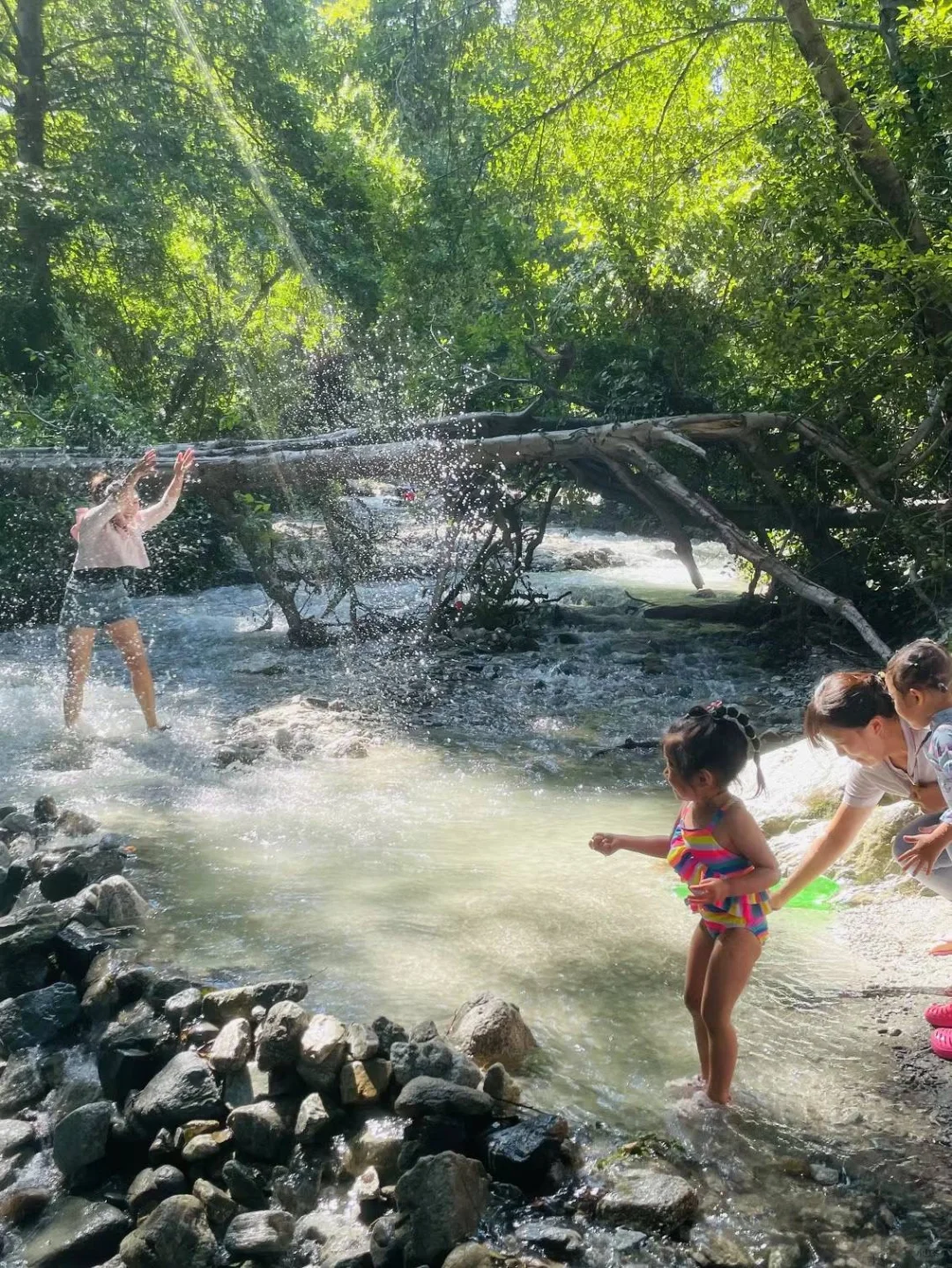 "Little Streams in Los Angeles: The Perfect Summer Spot for BBQs, Water Fun, and Beating the Heat"