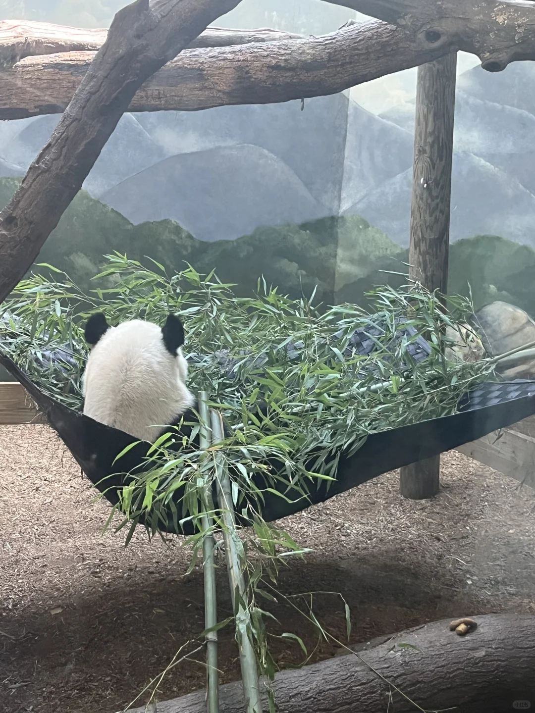 Atlanta Three-Day, Two-Night Getaway