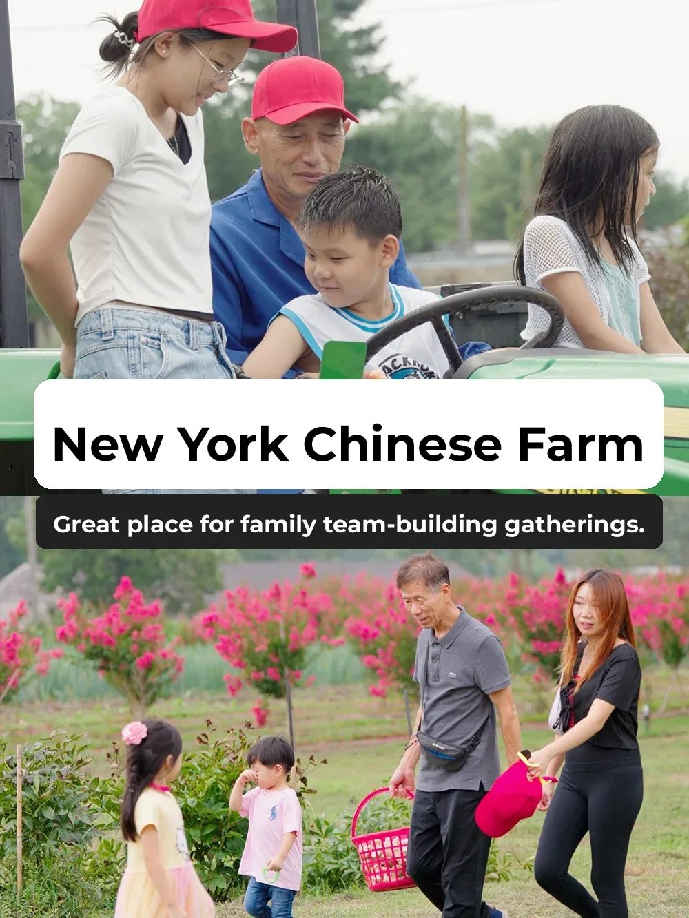 NYC's Chinese Farm: The Perfect Spot for Family Bonding and Team Building Gatherings!!