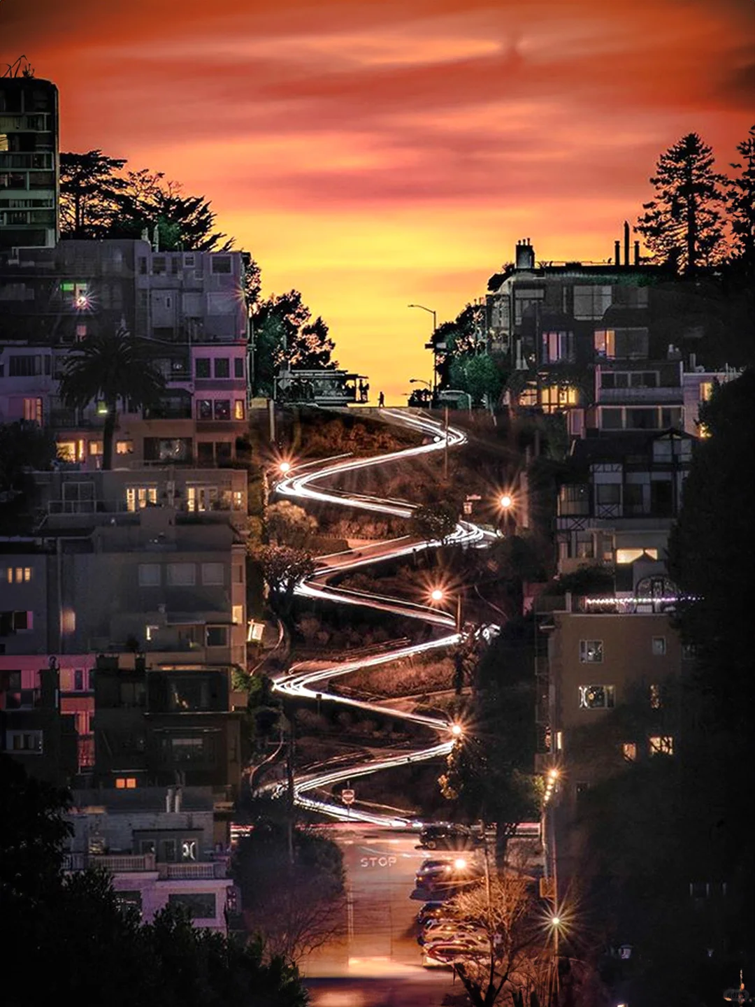 San Francisco Chinese Driver-Guide Private Car Tour | City and Surroundings Free Roaming