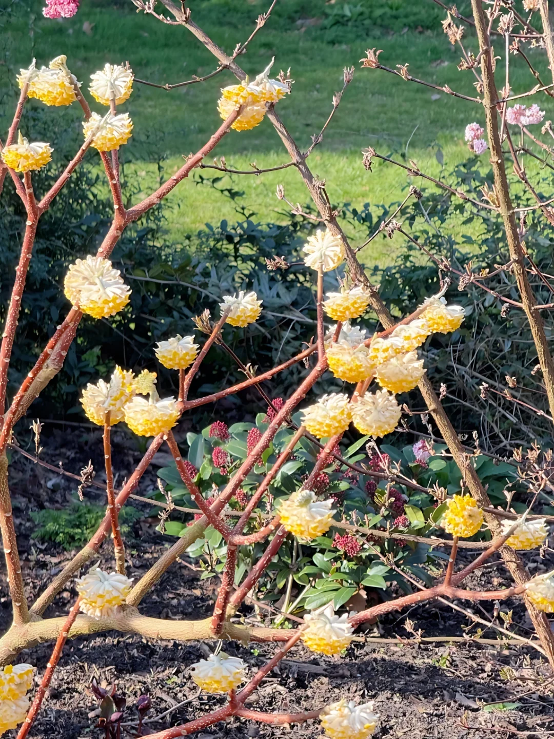 Off-the-Beaten-Path Outdoor Escapes in Boston This March – A Feast for the Eyes