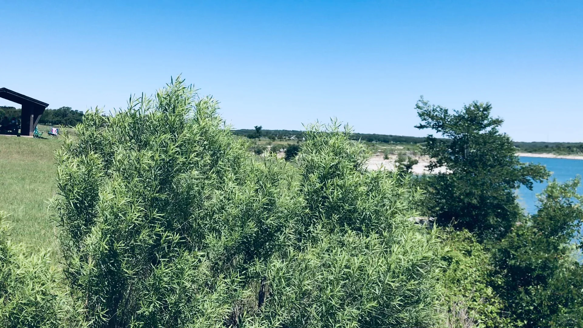 Quick Trip to Austin's Lady Bird Lake, Texas