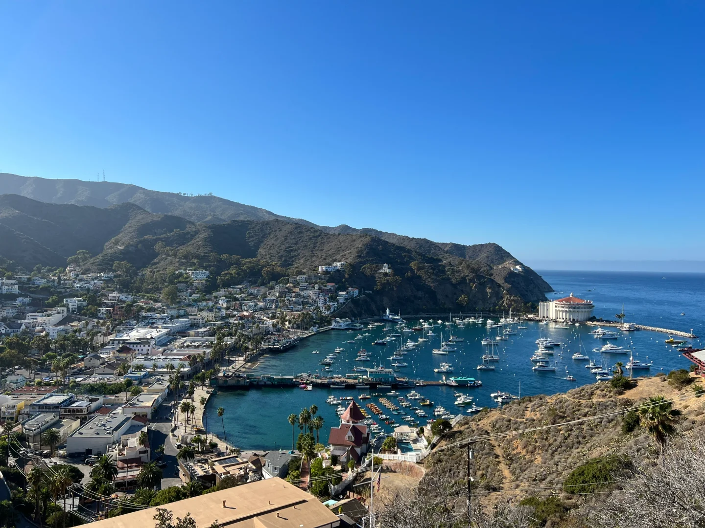 "Two Days and One Night on Catalina Island"