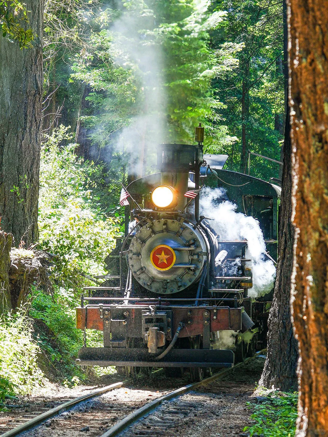 Where to Go in San Francisco This Weekend? 5 One-Day Trip Itineraries