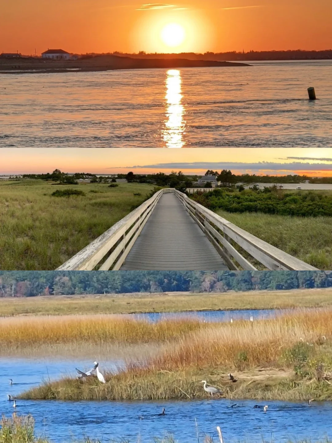 Around Boston | A Day Trip to Salisbury for Ocean Views and Giant Scallops ☁️