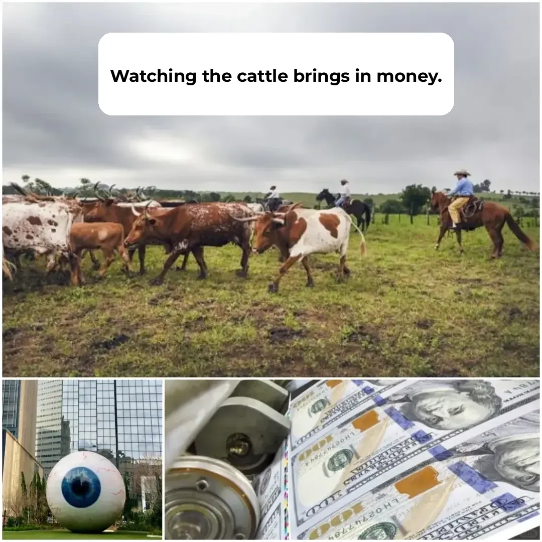 Road Trip Across North America: Texas Chapter 14 – Hidden Gems Along Dallas' Shores