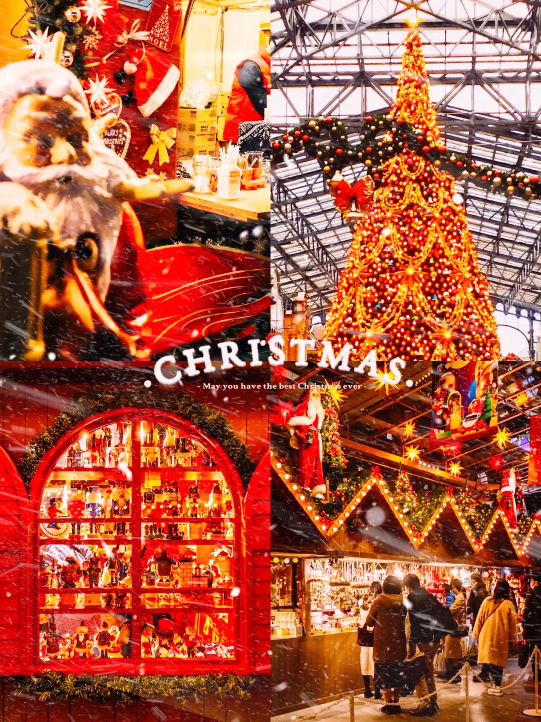 Tokyo, Japan ✨ The Ultimate Christmas Vibe 🎄 Bustling Market Events