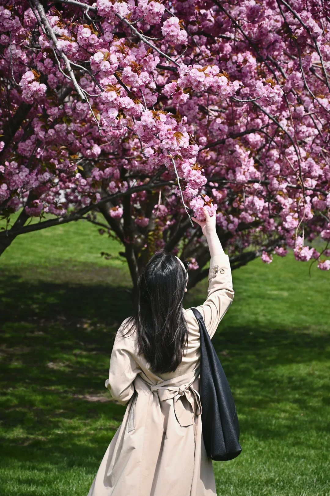 📷｜UMass & JFK Library