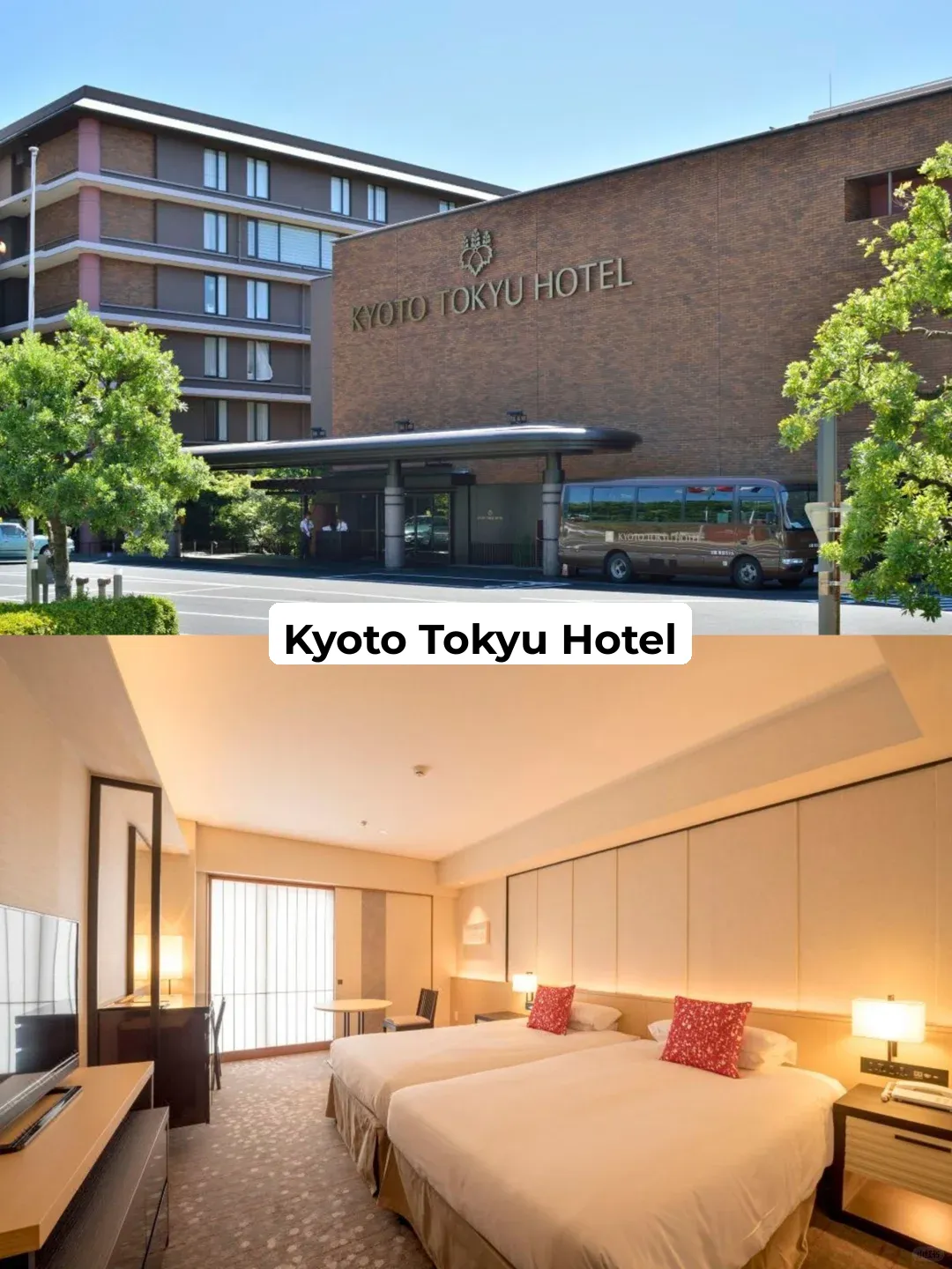 Japan Cherry Blossom Season 🌸 Japanese Hot Spring Hotel + Hidden Gem Sakura Route