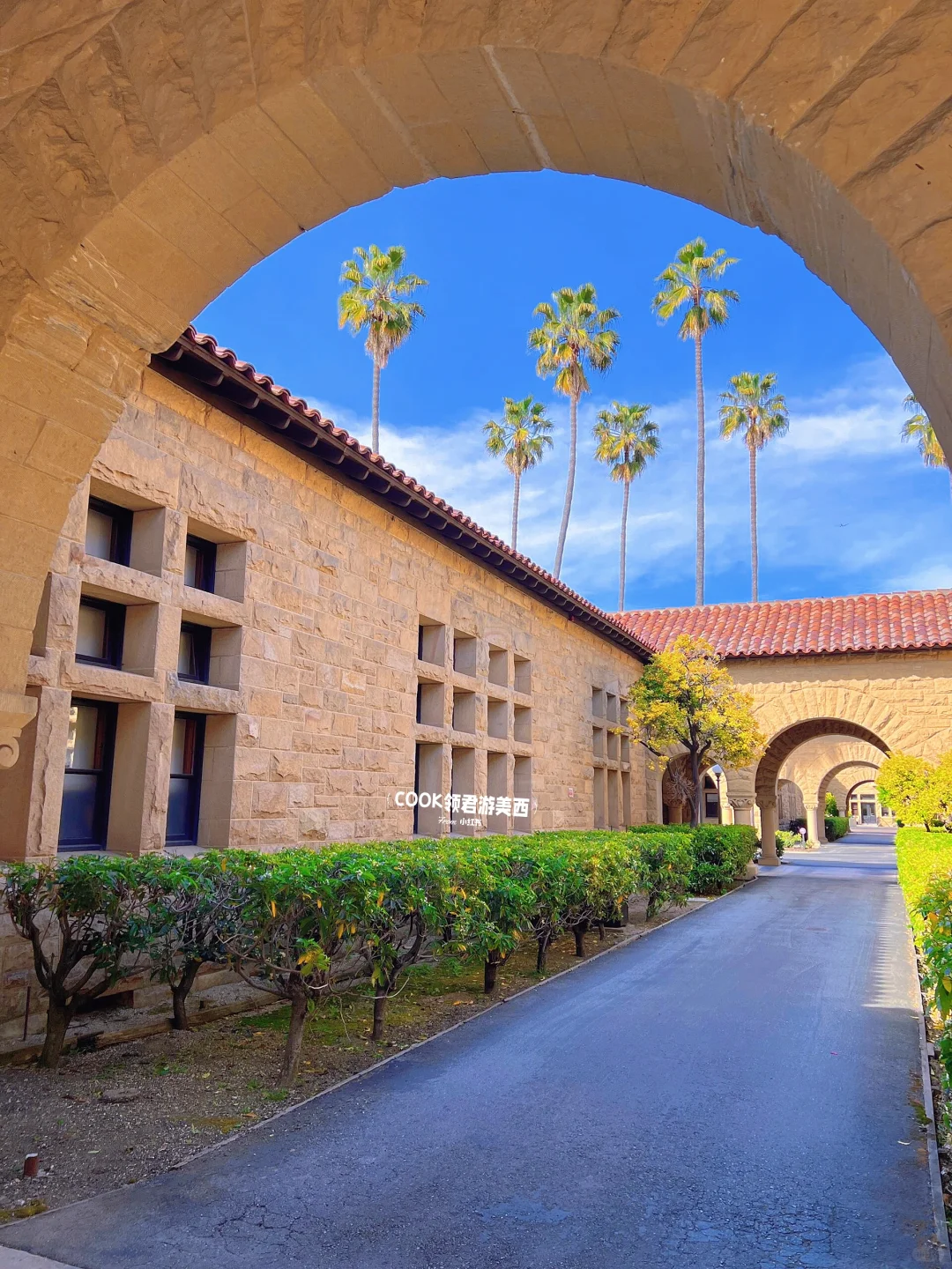 San Francisco Handcrafted Travel Guide 🥱