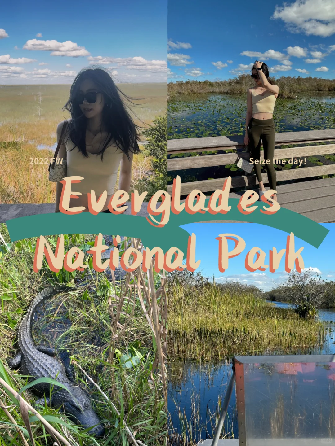 Miami | Everglades National Park Day Trip Guide 🐊