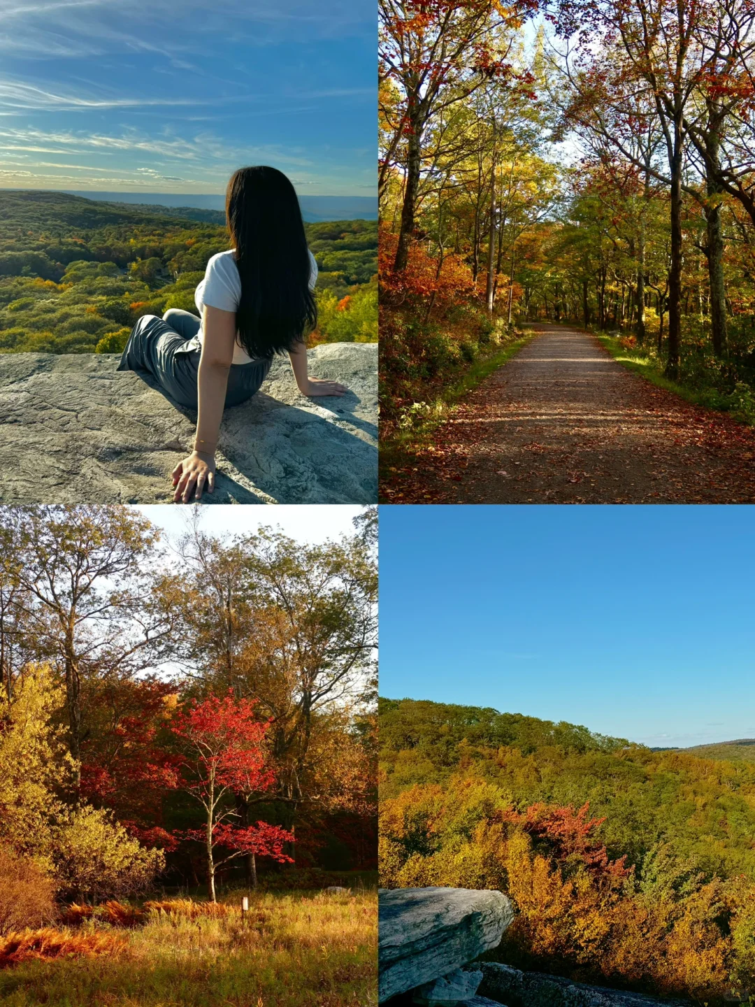 Autumn in New York State | Minnewaska Leaf Peeping 🍁