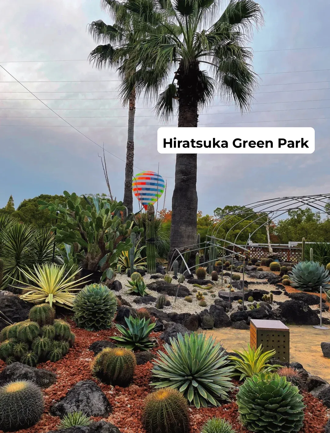 Weekend Picnic & Stroll Spot in Osaka: Tsurumi Ryokuchi Park