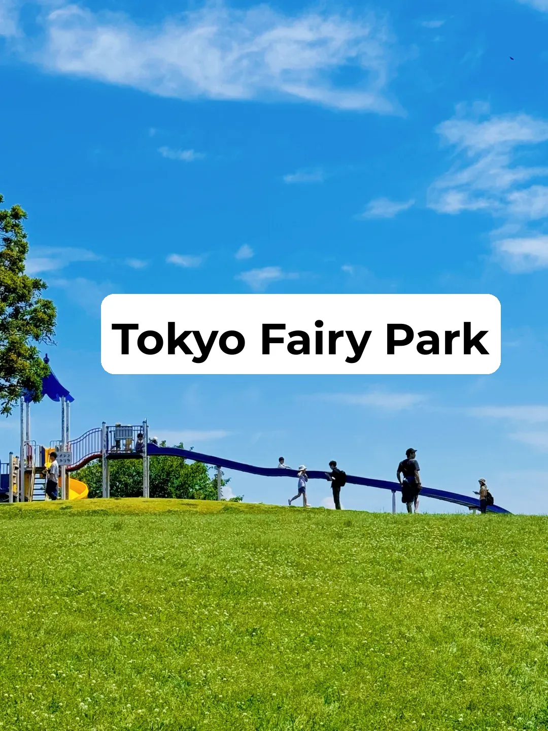 Who Knew Tokyo Had Beaches to Chill At!