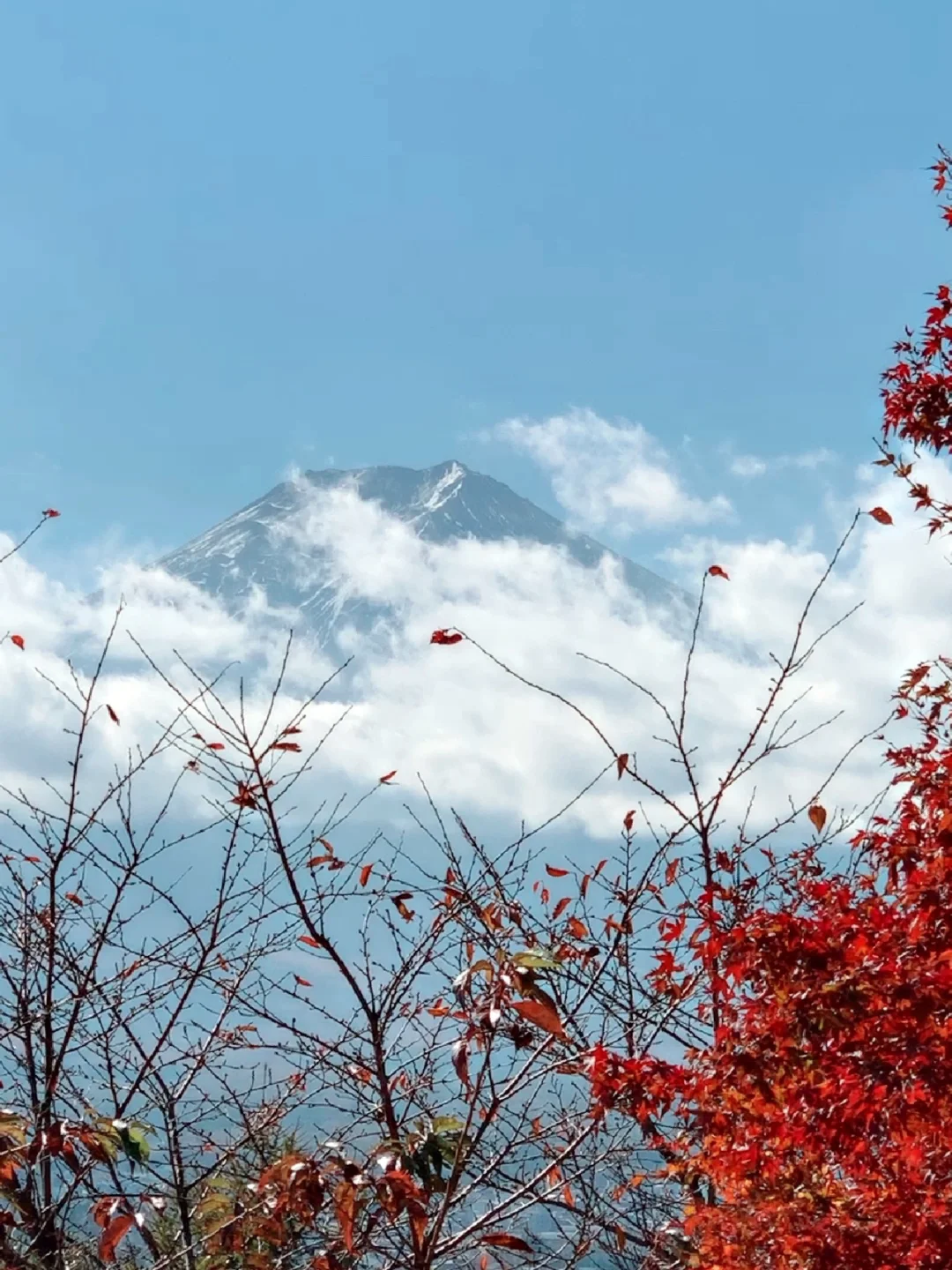 5-Day 4-Night Tokyo, Japan Trip from Singapore for $1245.15 🇸🇬✈️🇯🇵