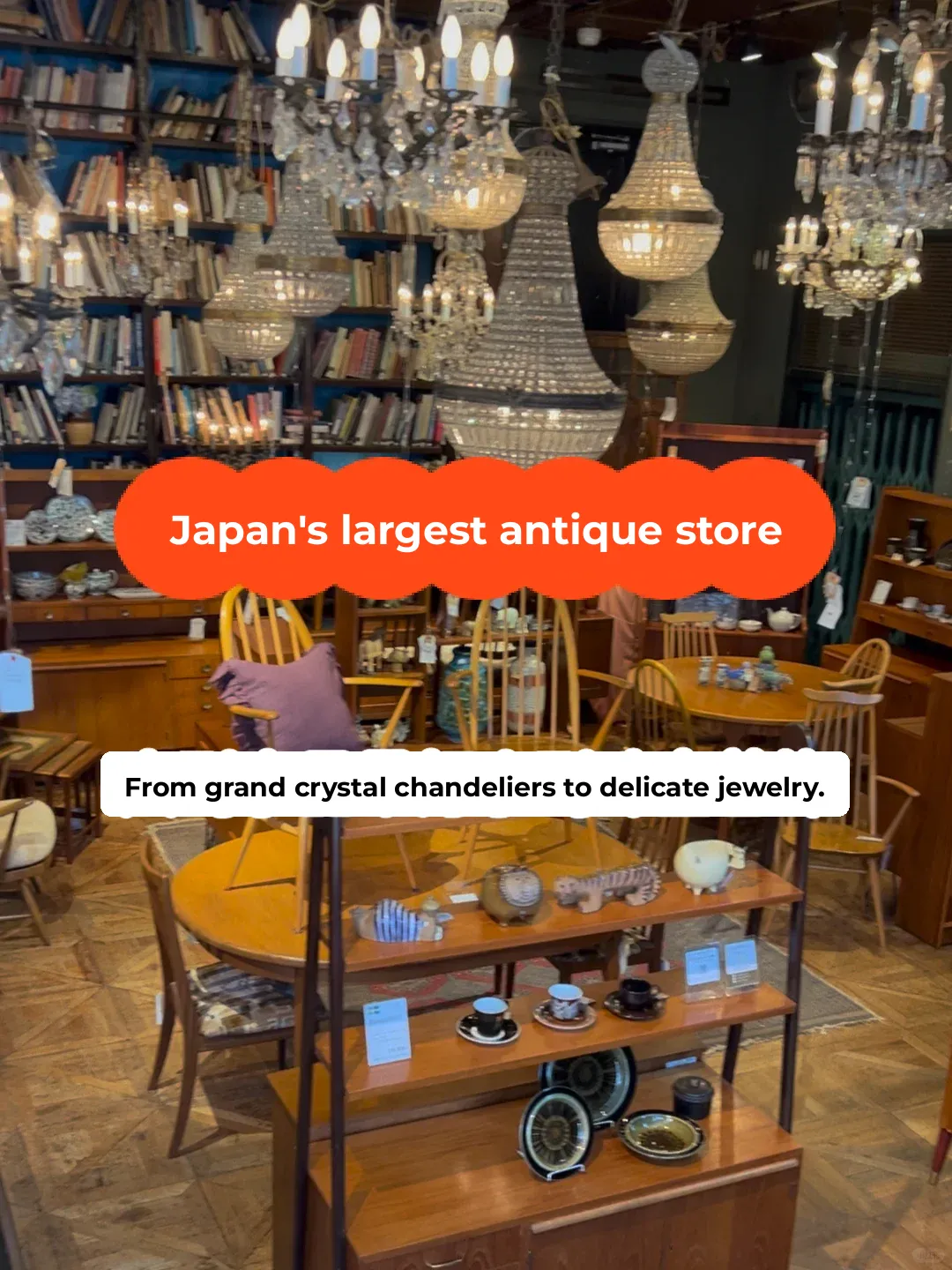 Hidden Gem: A Treasure Trove of Rare Finds