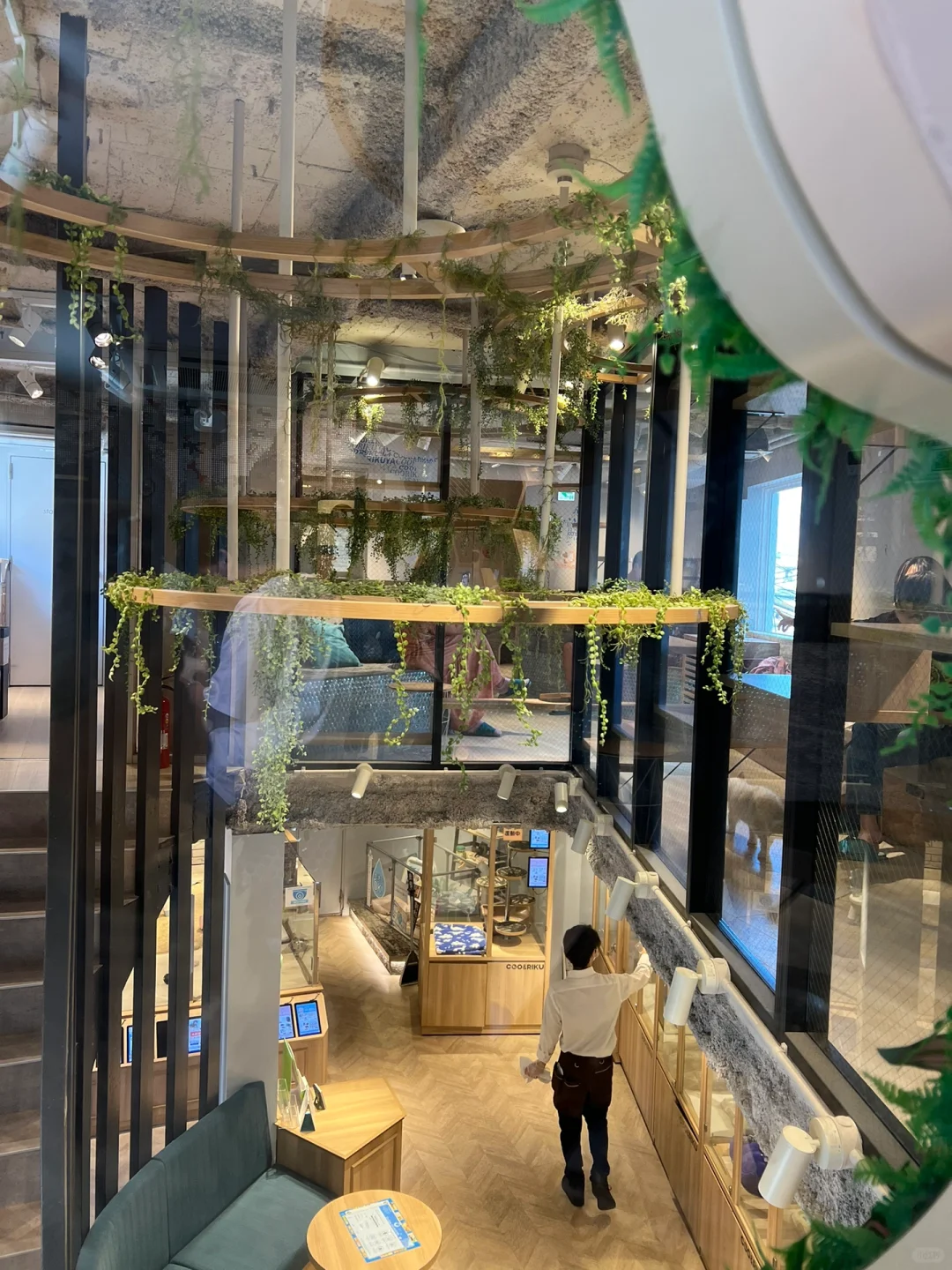 Check-in at Osaka Tennoji Air-Land Cat Cafe