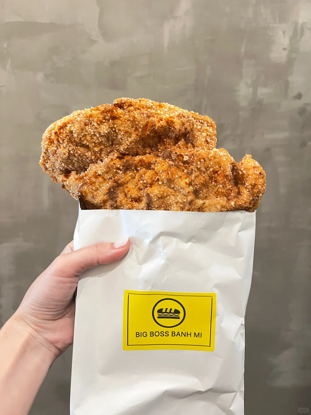 Houston 🐔 Taiwanese Fried Chicken Cutlet Bigger Than an iPad