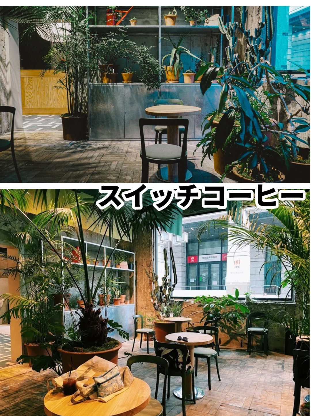 Tokyo Tour | The Ultimate Guide to Tokyo's Most Beautiful Plant Cafés!