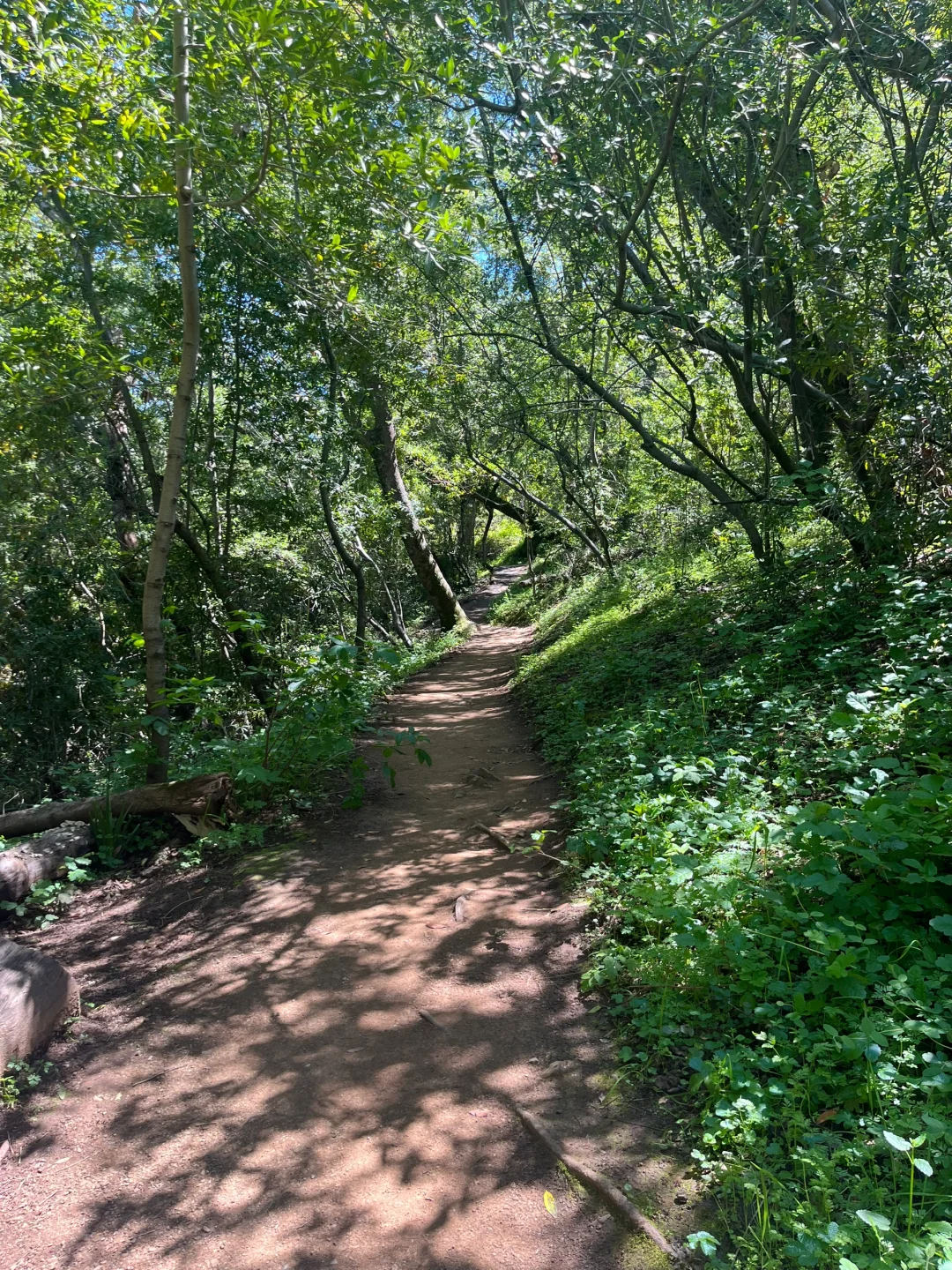 Bay Area Hiking Gem Trail
