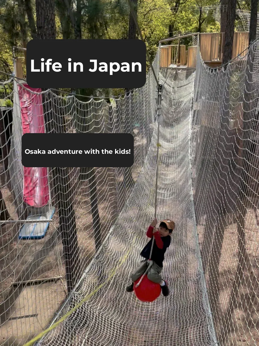 Living in Japan | Kid-Friendly Adventure Forest 🛝 (No Gear Required)