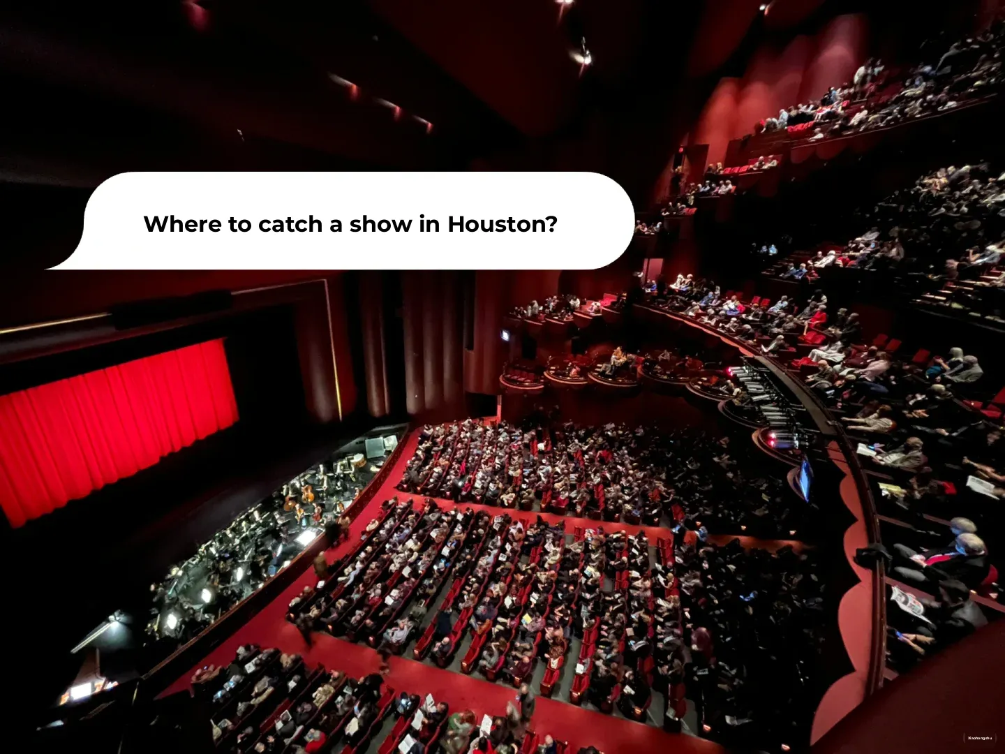 Incomplete Guide to Catching a Show in Houston—Let’s Go Live Together!