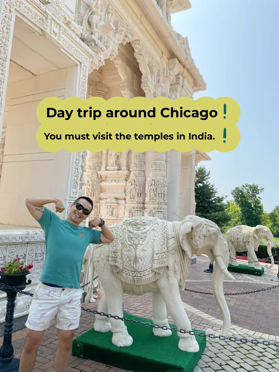 Day Trip Around Chicago: BAPS Shri Swaminarayan Mandir + Royal Buffet Feast!