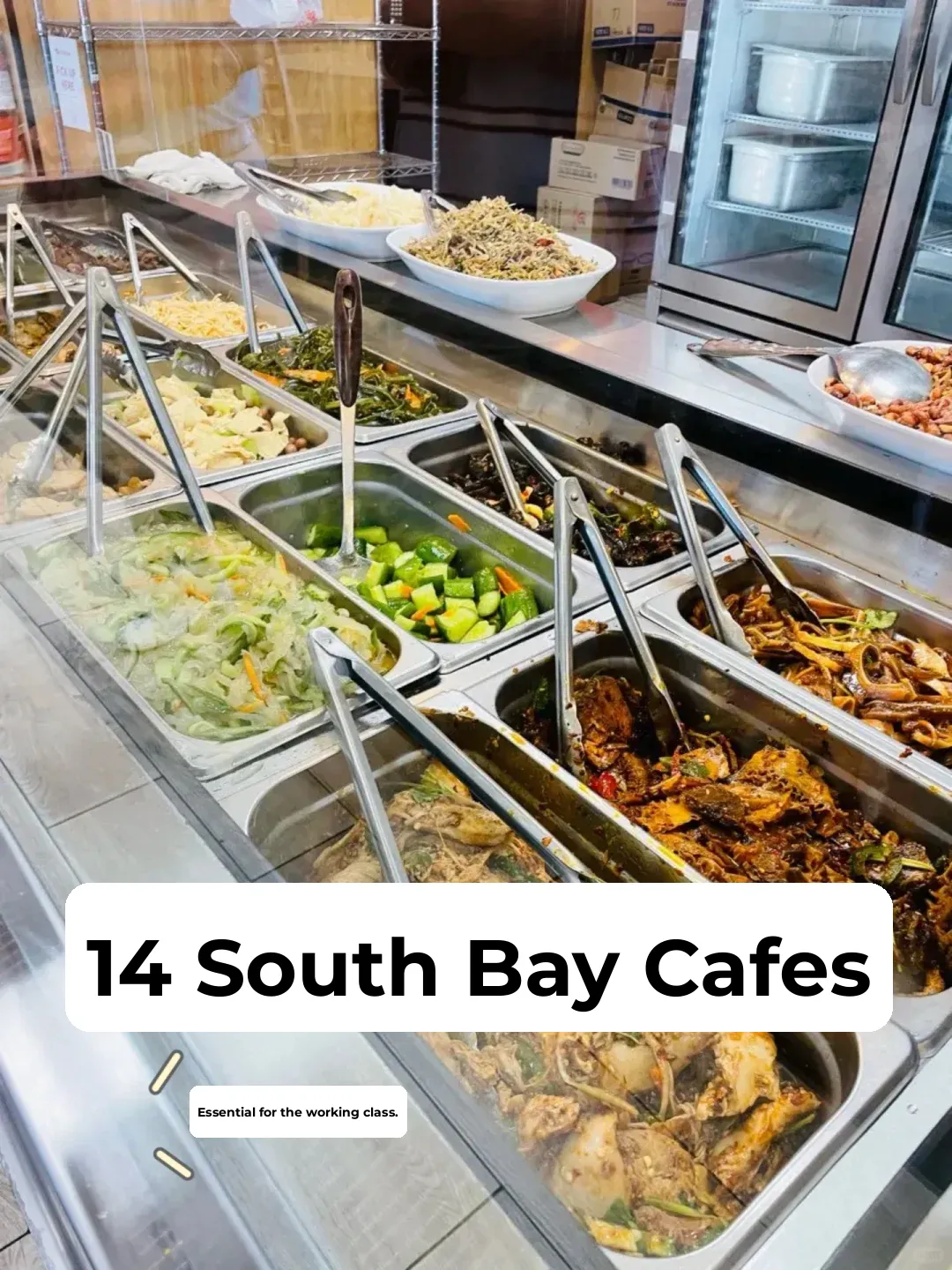 Bay Area Wage Warriors' Lunch Box Roundup 🍱