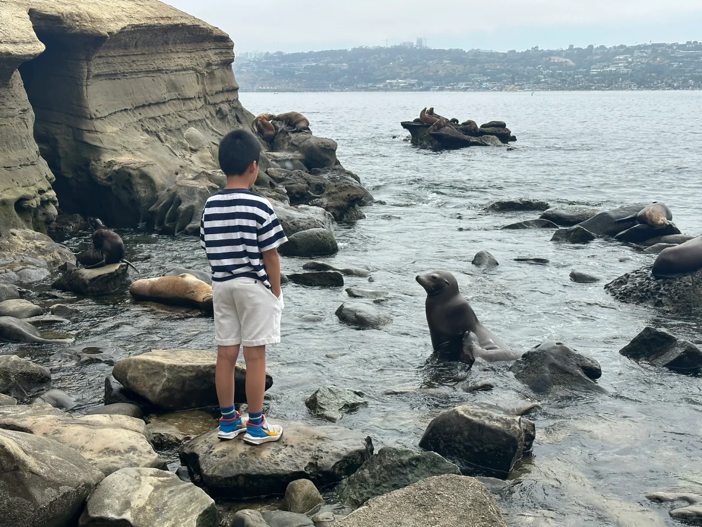 La Jolla Seal Cove—We Did It All, Leaving Nothing Out!