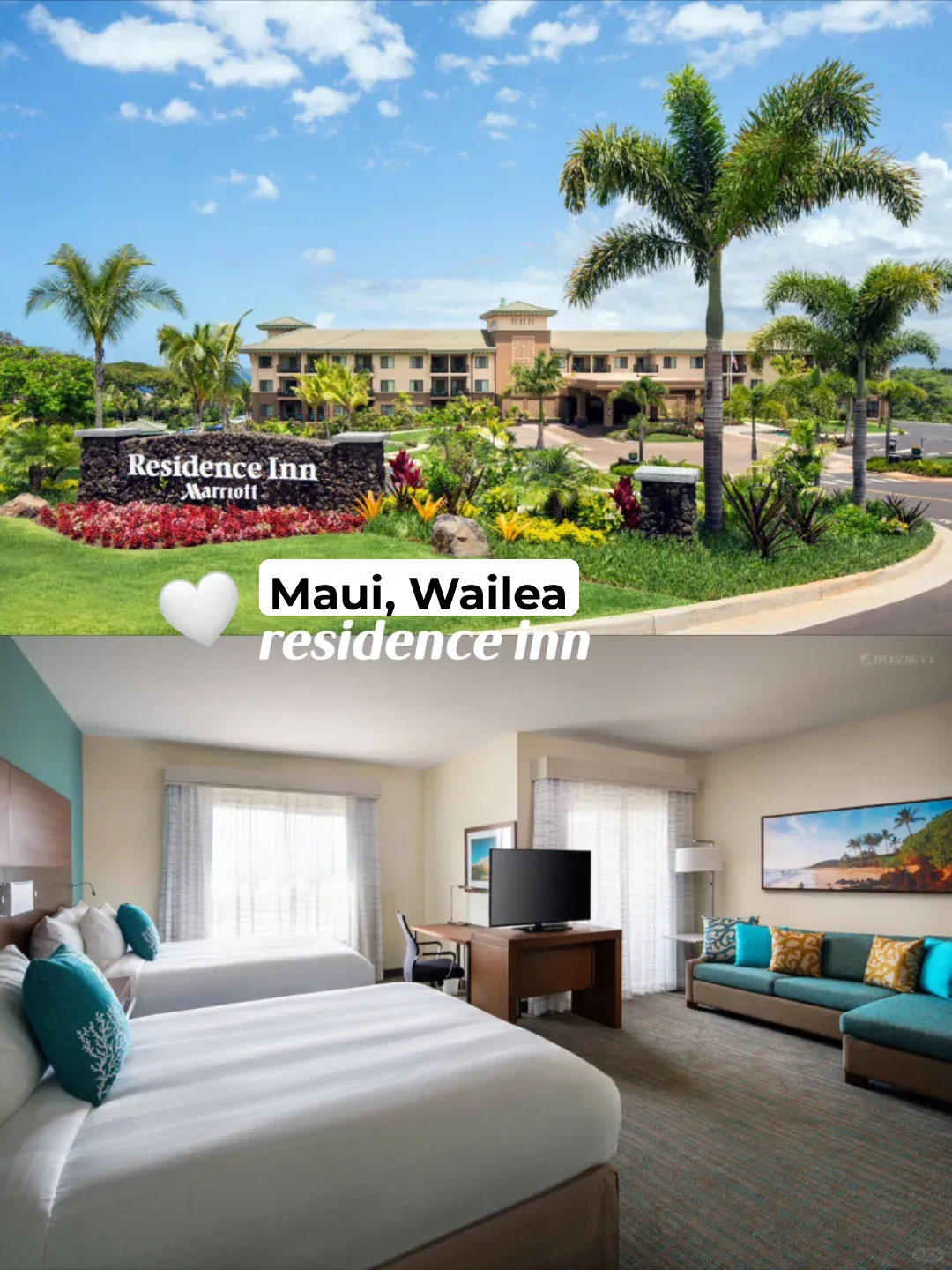 Hawaii Maui Hotel Picks🏨Up to 40% Off