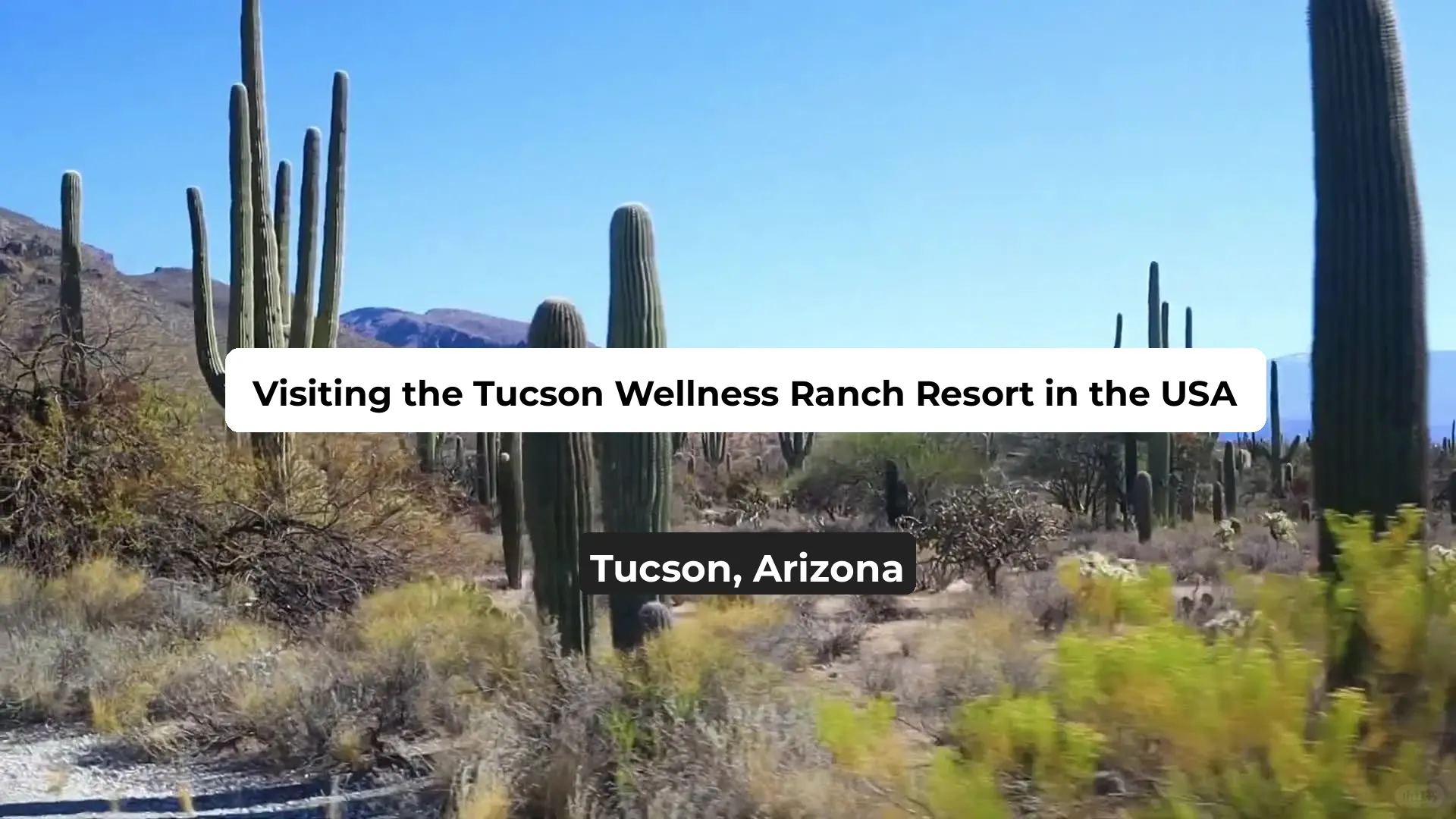 Exploring the Wellness Ranch Resort in Tucson, USA