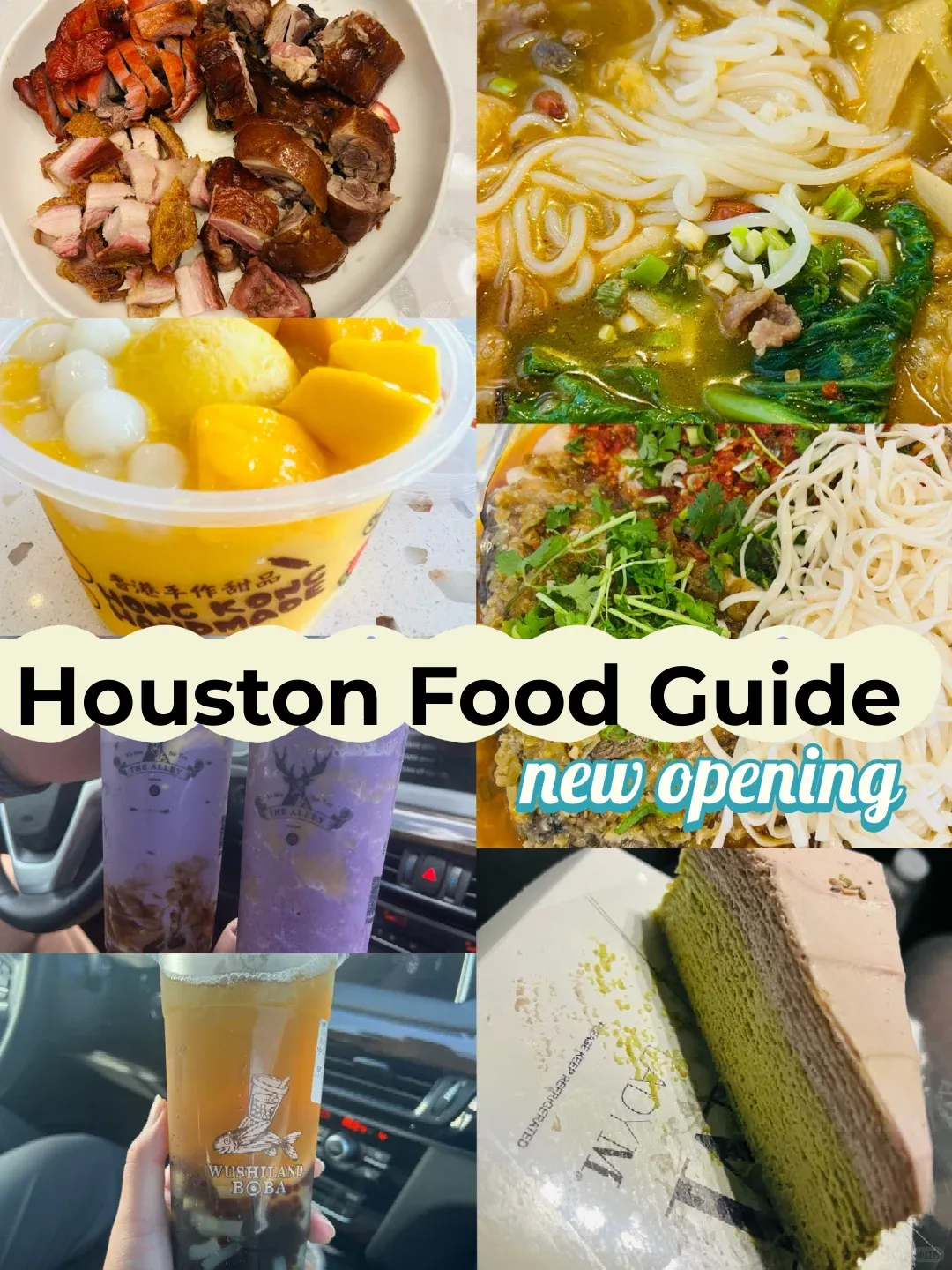 Recent Houston Food Guide (Including New Restaurant Picks)